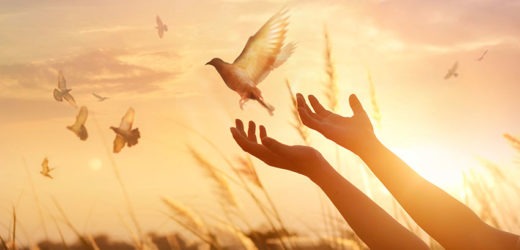 Always Start Your Day with this Powerful Morning Prayer to the Holy Spirit