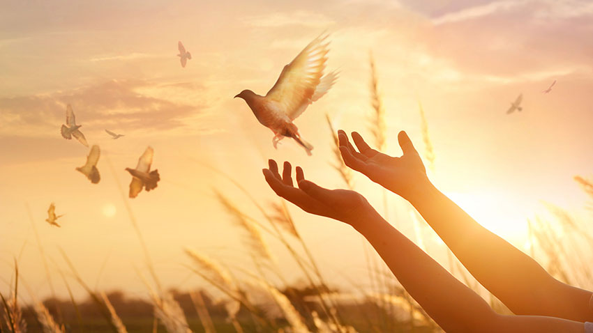 Always Start Your Day with this Powerful Morning Prayer to the Holy Spirit